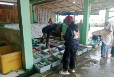 Cuaca Buruk, Pasokan Ikan di Dermaga 3 Cilacap Terbatas