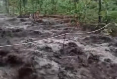 Hujan Deras, Debit Sungai Soso di Karangreja–Mrebet Purbalingga Kembali Naik, Warga Sempat Panik