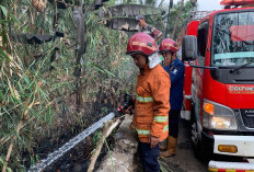 Bakar Sampah Picu Kebakaran Lahan di Candinata Kutasari Purbalingga