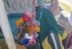 Wilayah Kota Cilacap Jadi Lokus DBD dan Chikungunya