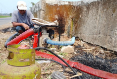 Petani Banyumas Beralih ke Gas Melon untuk Pompa Air, Tekan Biaya Pengairan Saat Sawah Mulai Kekeringan