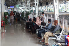 Libur Sekolah, Penumpang KA Melonjak 19 Persen, Layani Lebih dari 90 Ribu Pelanggan dalam Sepekan