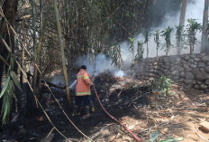 Tiga Karhutla Melanda Banyumas, Api Mendekati Rumah Warga Karanggintung