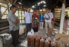 Pemberdayaan Produk dan Pemasaran, Unwiku Dampingi UMKM Keripik Pisang Sale Bersiap Naik Kelas