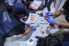 Muncul Isu Kaitkan Kepala BNN Suyudi Ario Seto dengan Shandy Aulia Pasca Geledah Kampung Ambon