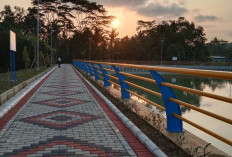 Embung Alasmalang Banyumas Ramai, Pedagang Kebanjiran Pembeli, Lapak Sore Hingga Minggu Pagi Jadi Andalan