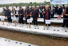 Regenerasi Petani Lewat 