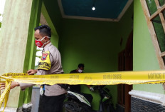 Warung Tetap Buka di Balik Tirai, Cara Pedagang Jaga Hormat di Siang Hari Saat Ramadan