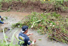 Arus Tersendat, Sawah di Prembun Banyumas Terendam,  40 Hektare Lahan Pertanian Terdampak