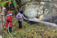 Kebakaran Lahan Banyumas Capai 49 Kasus, Awal September Bertambah 11 Kejadian
