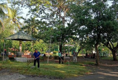 Sambut Lebaran, Harga Tiket Masuk Teluk Penyu Tidak Naik, Pedagang Diminta Tidak Naikkan Harga Seenaknya  