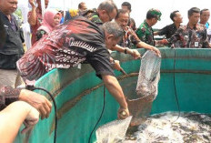 Desa Dagan Sukses Budidayakan Ikan Nila dengan Sistem Bioflok