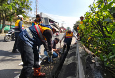 Drainase Tertutup Simpang Unsoed Purwokerto Rawan Genangan, DPU Temukan Sedimen dan Saluran Tertutup Plat 