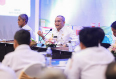 Alasan KEK dan Kawasan Industri di Jateng Jadi Magnet Investasi