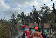 Dua Kebakaran Terjadi di Banyumas dalam Sehari, Lahan Bambu dan Tumpukan Rongsok Dilalap Api