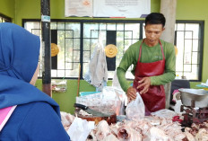 Harga Ayam di Banyumas Turun ke Rp27 Ribu, Permintaan Kuliner Tetap Tinggi