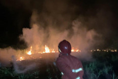 Sejak Awal Agustus, 13 Kebakaran Lahan Terjadi di Purbalingga
