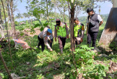 Kadus Sangkanayu Tewas Dianiaya Tetangga Saat Garap Ladang, Pelaku Diduga ODGJ