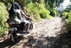 Akses Purwodadi–Watuagung Banyumas Rusak Parah, Anak Sekolah hingga Warga Kerap Terjatuh