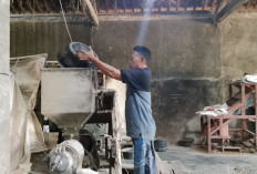 Petani Banyumas Cemas Stok Gabah Menipis, Kemarau Panjang dan Wereng Ancam Panen Berikutnya