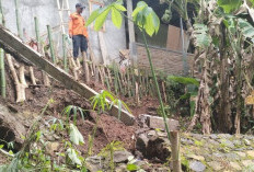Longsor Ancam Rumah Warga Kedungdowo