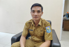 Siasati Ancaman Kekeringan, DPPP Purbalingga Imbau Petani Tanam Palawija di Lahan Minim Air