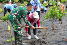 Cegah Abrasi, 1.000 Mangrove dan Kopi Liberika Ditaman di Pantai Sodong Cilacap