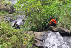 Enam Hari Pencarian Nihil, Korban Sungai Tajum Banyumas Belum Terlacak