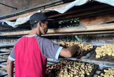 Harga Kedelai Impor Naik, Pendapatan Perajin Tahu Banjarnegara Turun hingga 40 Persen