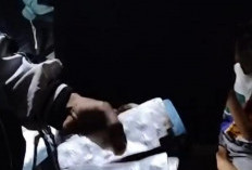 Edarkan Psikotropika Pria Purwokerto Barat Dibekuk Polisi, 150 Butir Alprazolam Disita,