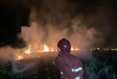 Kebakaran Lahan Terjadi di Jatisaba Purbalingga, Tanah Bengkok Diduga Sengaja Dibakar Warga