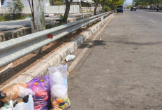Kantong Sampah Berserakan di Jalan Bung Karno Purwokerto