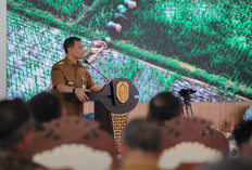 IJD Jadi Motor Penggerak Pertumbuhan Ekonomi Baru di Jawa Tengah