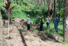 Garapan Ilegal Ditemukan di Kawasan Hutan Wanayasa, Sembilan Warga Diperiksa