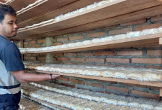 Harga Bahan Baku Naik, Perajin Tempe di Kebumen Perkecil Ukuran