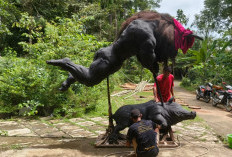 Sendratari Warnai Tawur Agung Kesanga di Klinting Banyumas, Edukasi Makna Nyepi lewat Ogoh-ogoh Mahesa Sura