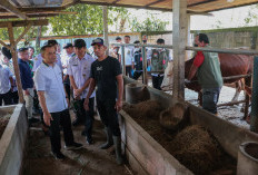 Jelang Iduladha, Ahmad Luthfi Minta Layanan Kesehatan Hewan Keliling Diintensifkan