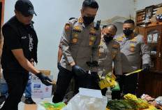 Rumah Produksi Jamu Ilegal di Kroya Cilacap Digrebek, Omzet Capai Rp 100 Juta Sebulan