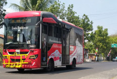 Trans Banyumas Dinilai Belum Efisien di Purwokerto, Pakar Transportasi Soroti Anggaran Rp3,3 Miliar per Bulan