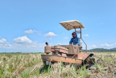 Traktor Perahu Mulai Beroperasi di Banyumas, Desa Genjot Produktivitas