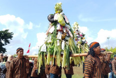 Lestarikan Tradisi, Kirab Pemilihan Pemimpin P2KL Alun-alun Banyumas