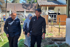 Sumanto Dukung Posisi Jateng jadi Penyangga Produksi Ternak Nasional