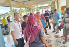 Aktifitas Nelayan di Cilacap Kembali Normal, Hasil Belum Maksimal