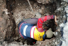  Libur Nataru, Bahu Jalan Amblas di Jalur Ramai