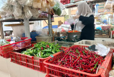 Harga Cabai Tembus Rp40 Ribu per Kilo, Pedagang Pasar Manis Purwokerto Sebut Pasokan Petani Mulai Berkurang