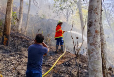 Lima Hektare Hutan Ajibarang Banyumas Terbakar, Pembakaran Sampah Diduga Jadi Pemicu