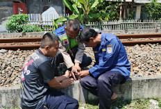 Niat Mau Rekam Kereta Api, HP Milik Warga Sidanegara Cilacap Jatuh dan Terjepit Bantalan Rel