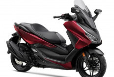 Spesifikasi Honda Forza 250 Dibongkar! Ternyata Tenaganya Segini