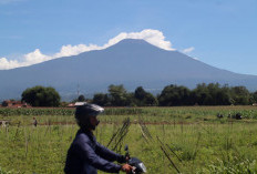 Gempa Gunung Slamet Banyumas Melonjak Drastis, 132 Kali Sehari, Status Waspada
