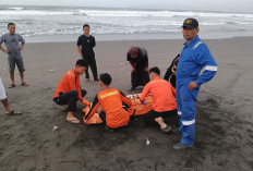 Dua Korban Terseret Ombak di Pantai Menganti Kisik Cilacap Ditemukan Meninggal, Operasi Pencarian Ditutup